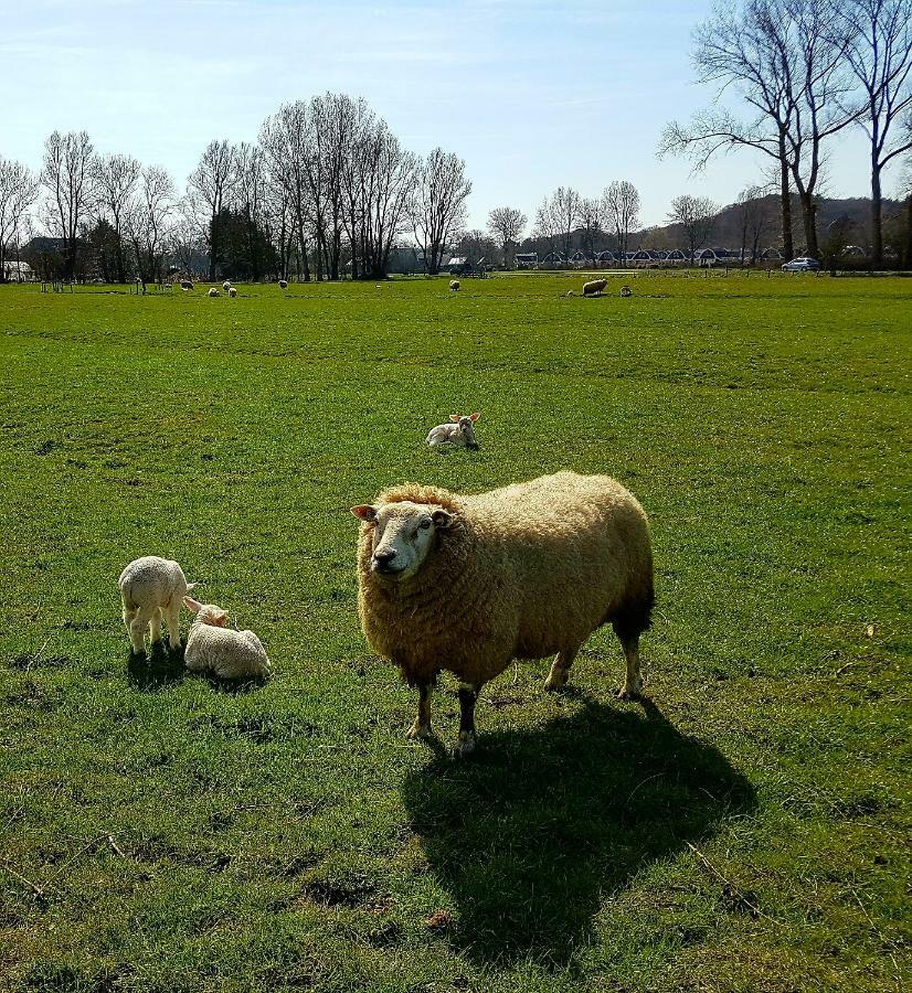L'Amour Pur Schoorl Luaran gambar