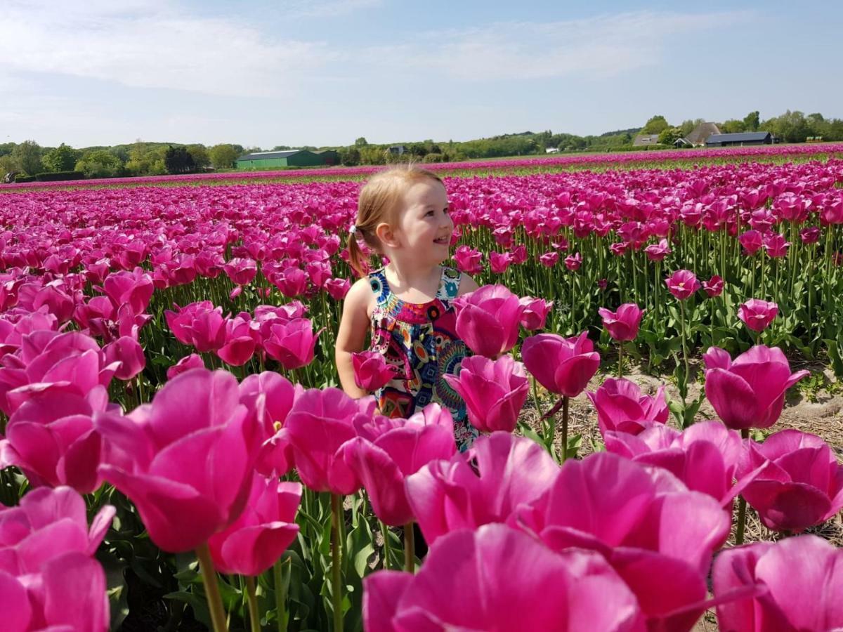 L'Amour Pur Schoorl Luaran gambar