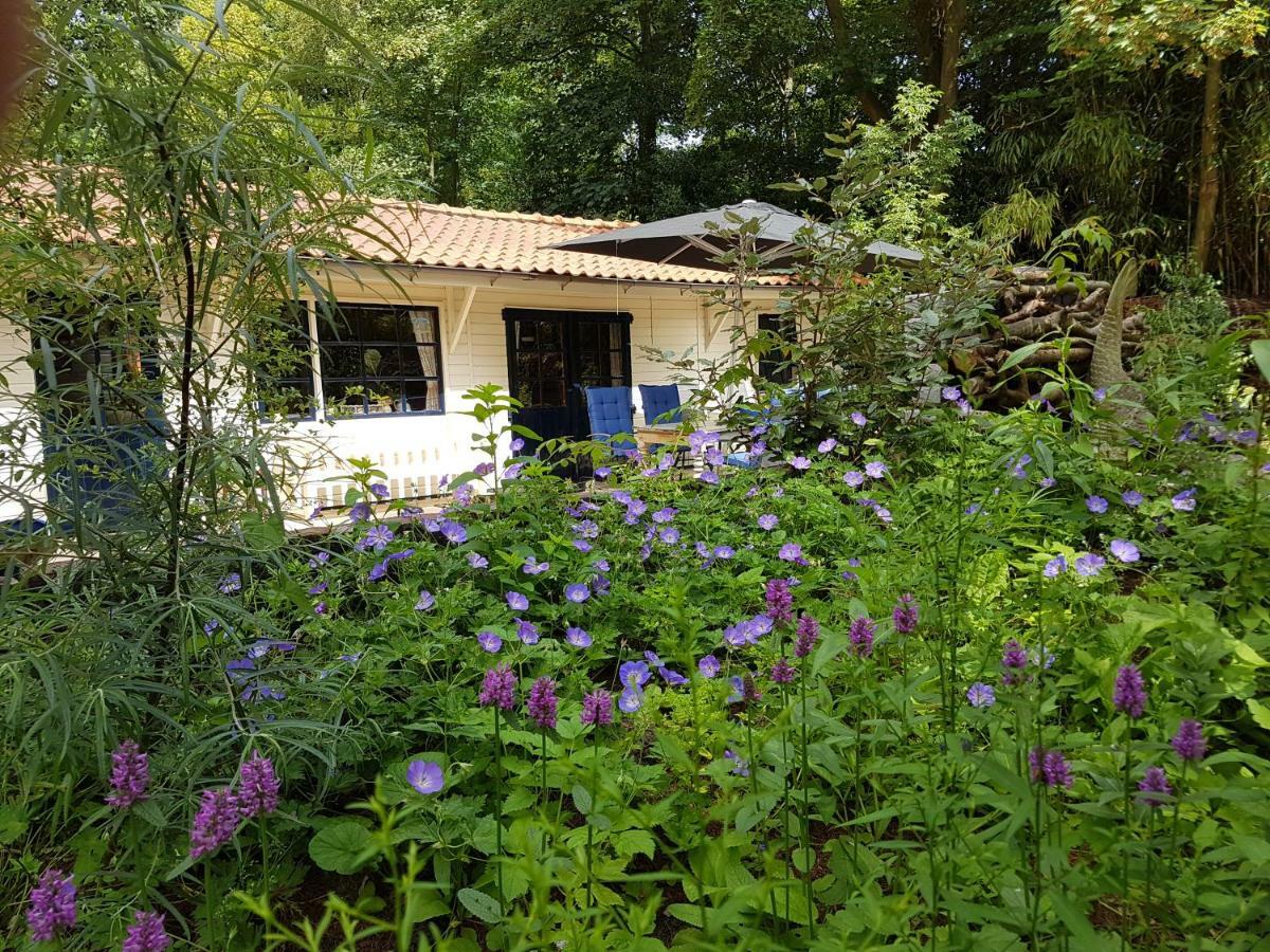 L'Amour Pur Schoorl Luaran gambar