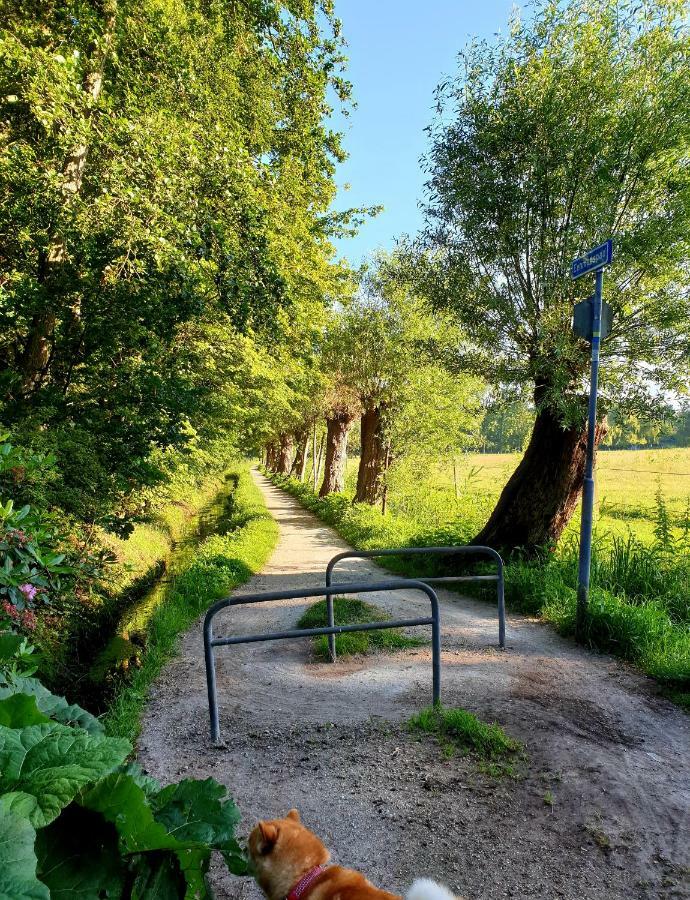 L'Amour Pur Schoorl Luaran gambar
